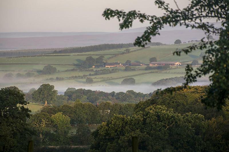 Bessiestown Country Guesthouse Carlisle  Ngoại thất bức ảnh