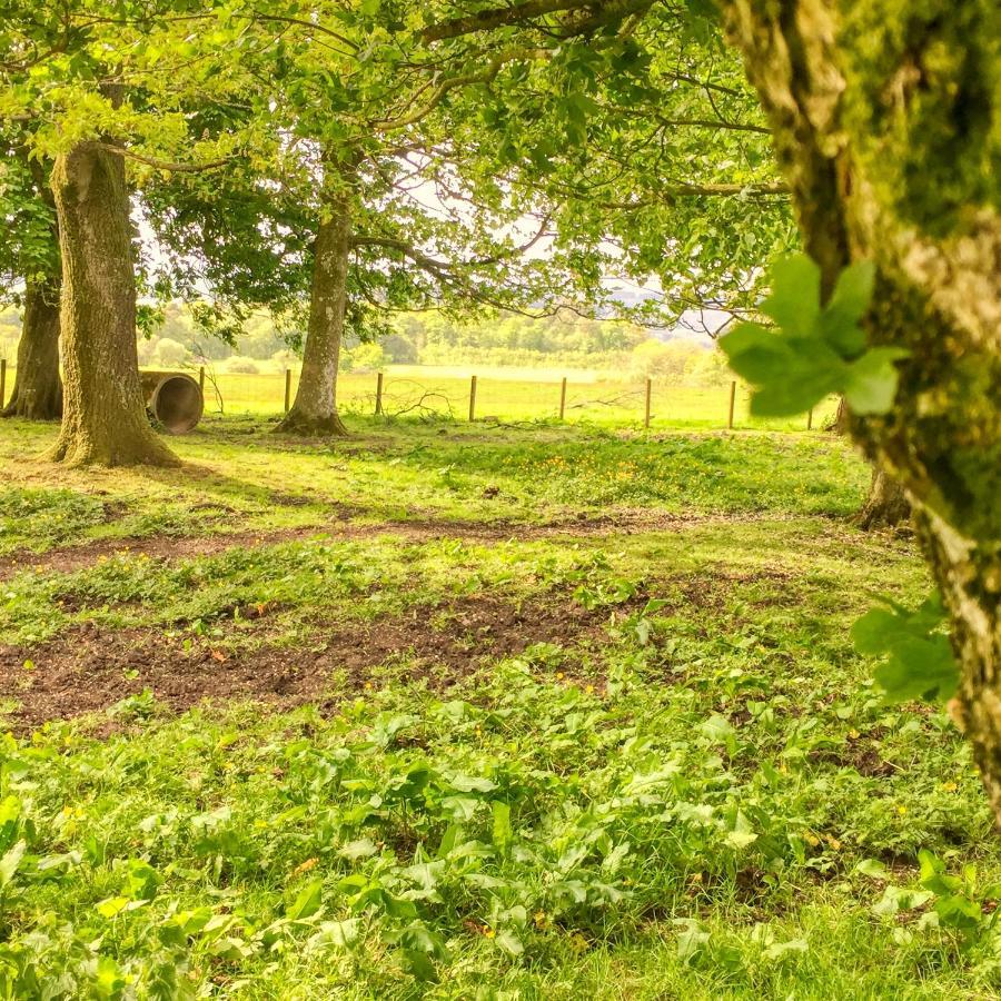 Bessiestown Country Guesthouse Carlisle  Ngoại thất bức ảnh